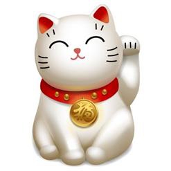 кошка.jpg